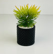 Elegant Black Planter Pot