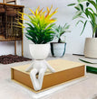Chilling on Wall Planter Pot - White - WeHomePk