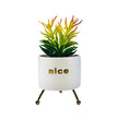 Cylindrical Pot Planter With Golden Stand - WeHomePk